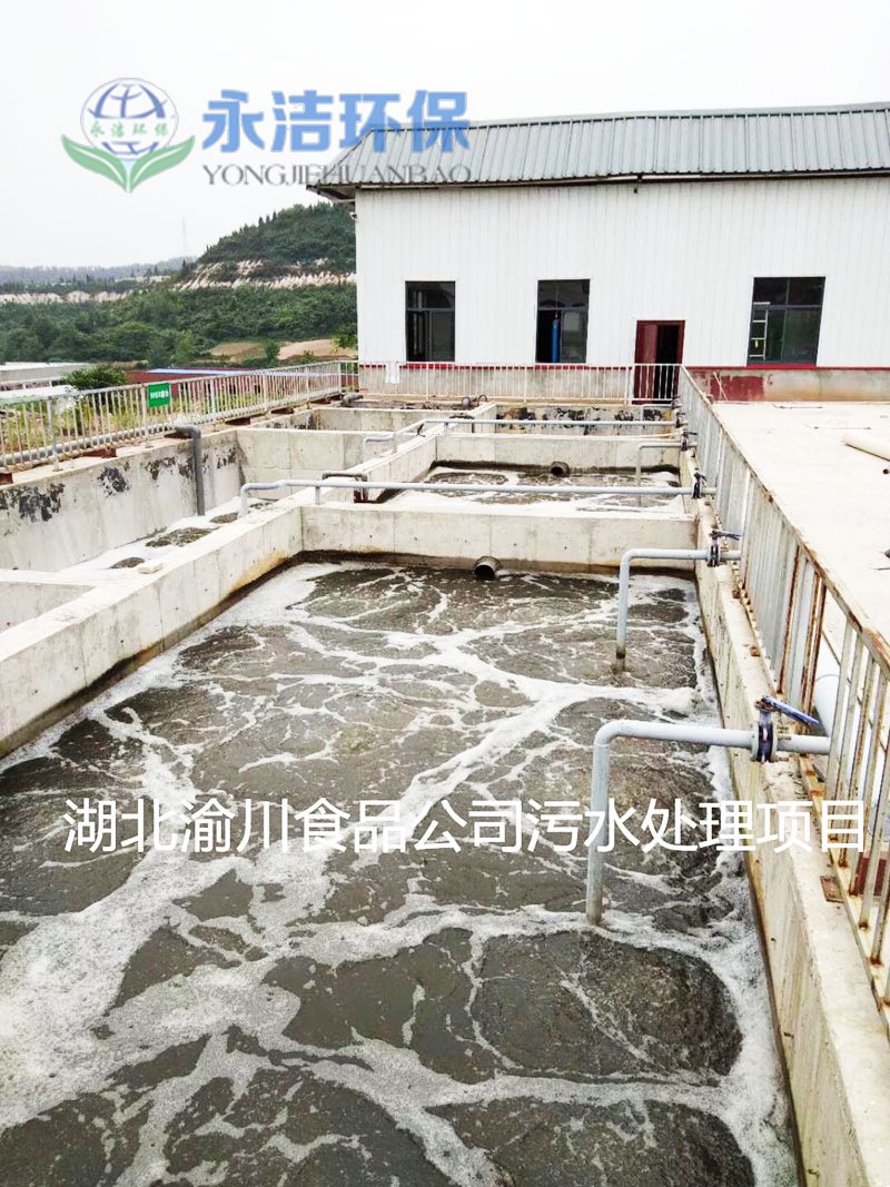 &#27431;&#27954;&#26479;&#19979;&#27880;&#40;&#20013;&#22269;&#41;&#23448;&#26041;&#32593;&#31449;